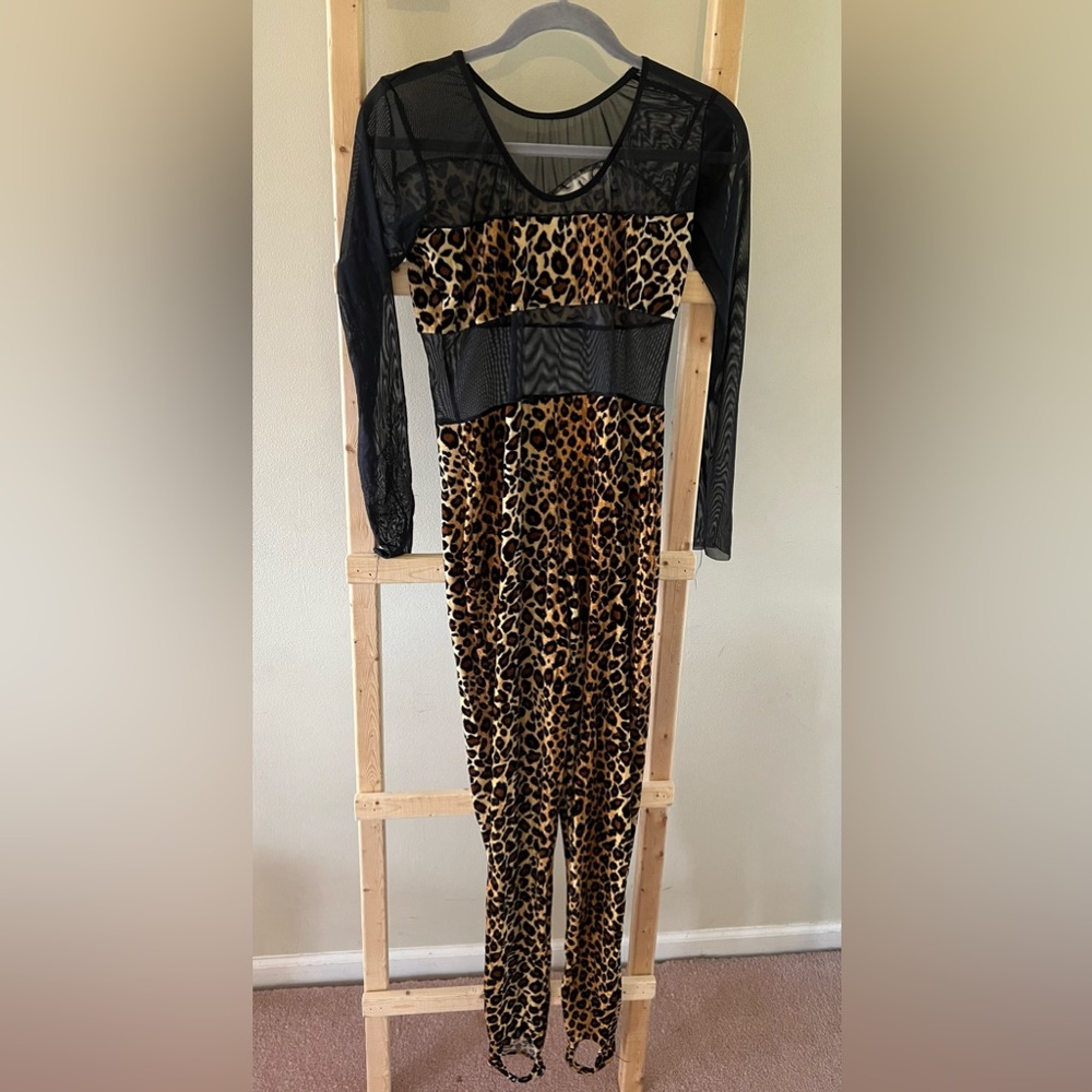 Dance Costumes - Picture 5 of 16